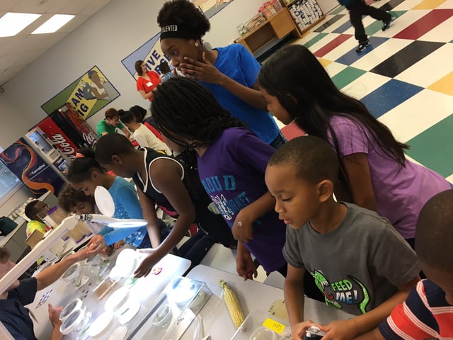 Students crowd around tables filled with bugs, plants, fungi, and experiment supplies ready to do science. 