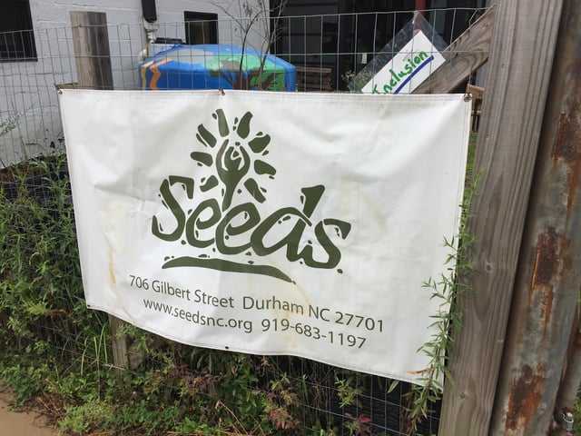 seeds1.jpg